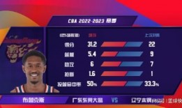 辽粤最新爆料,揭秘双方备战策略与关键焦点