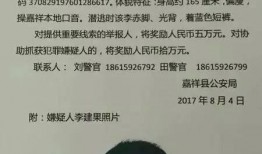 济宁嘉祥爆料案件最新消息,案情进展与疑点重重