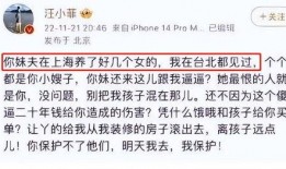 最新爆料有私生子,神秘私生子身份曝光，真相令人震惊