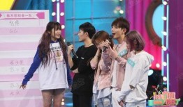 偶像爆料视频大全集免费观看,独家揭秘，免费观看，一网打尽