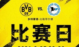爆料者联盟今日情报最新,揭秘神秘事件背后真相
