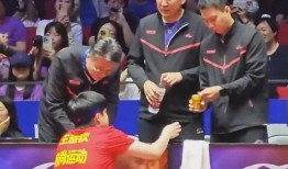 最新爆料王楚钦,揭秘乒乓球天才背后的故事与挑战”